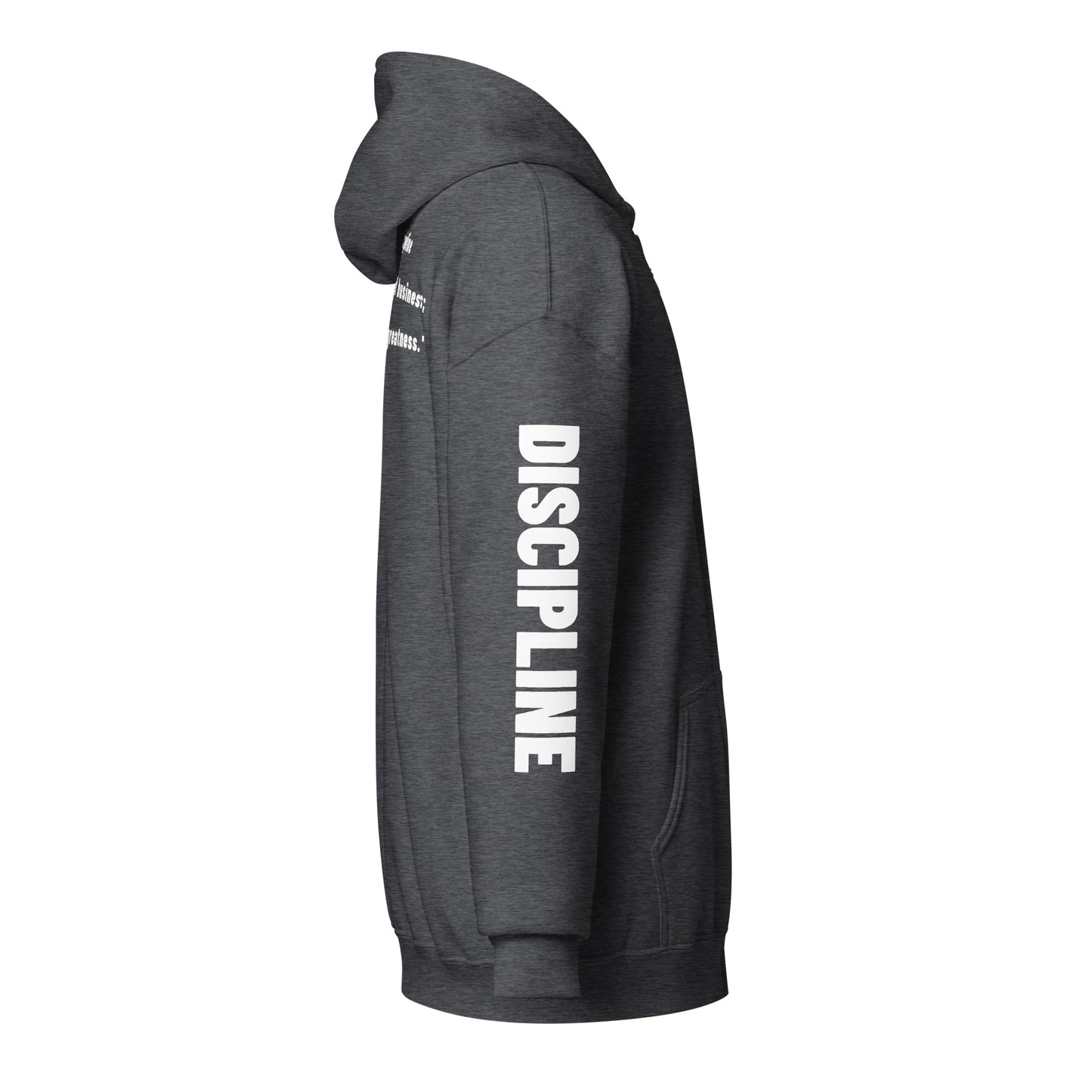 Discipline zip hoodie