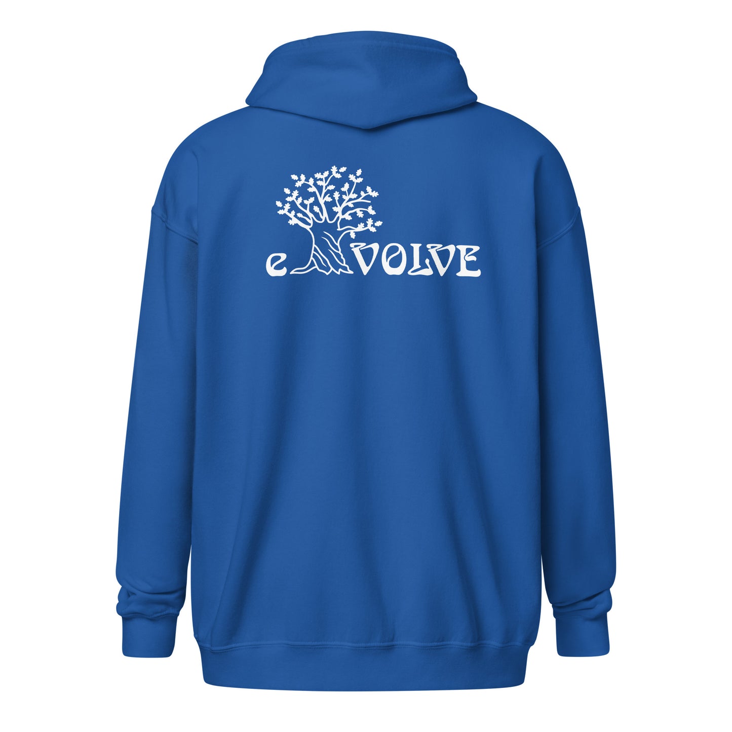 Evolve zip hoodie